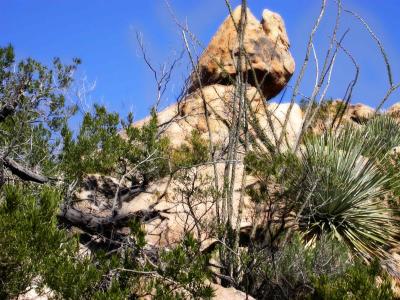 Petroglyphs