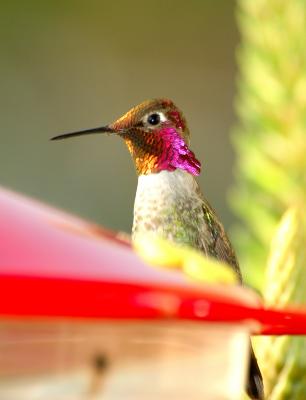 DSC_1340.jpg
