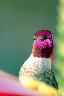 DSC_1360.jpg