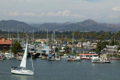 Ventura's The Two Trees