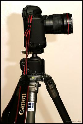 1DMk2 with Canon 135/f2L