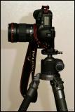 1DMk2 with 135/f2L