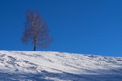 CRW_6633pb.jpg
