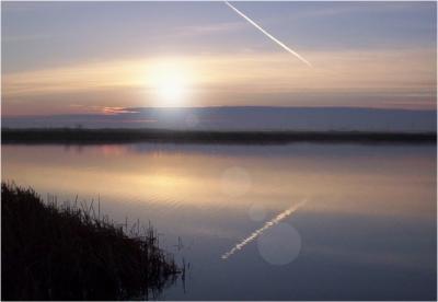 Early Morning Reflections