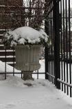 Frozen planter 2004