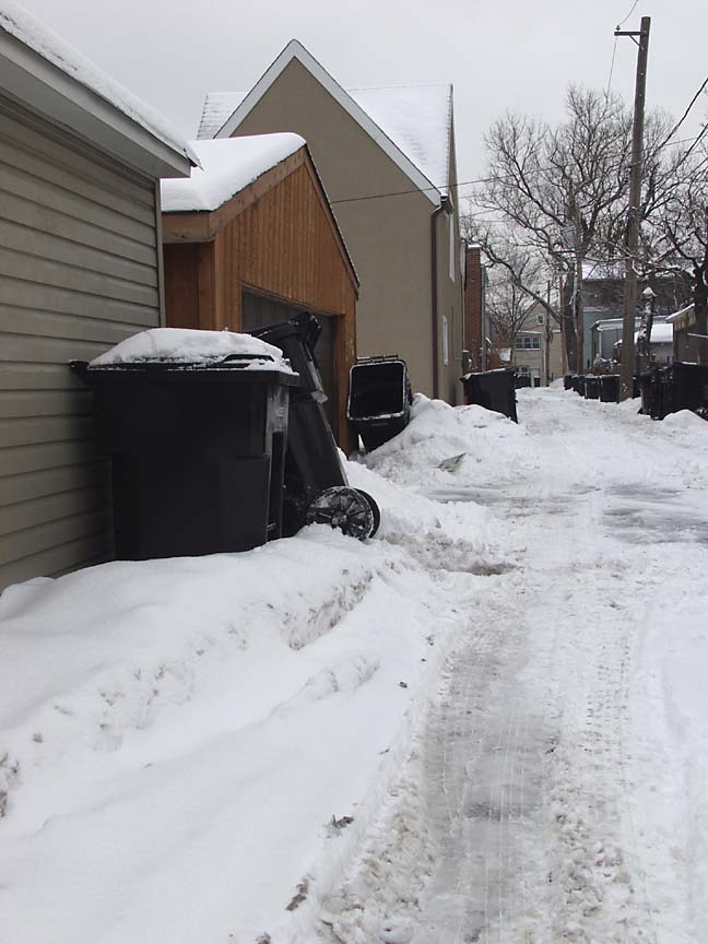 Chicago neighborhood alley 2004