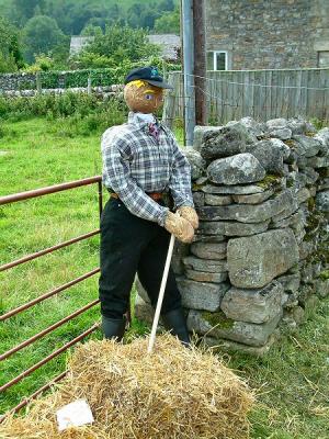 baling hay