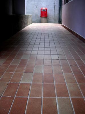 erDSCN8229.jpg