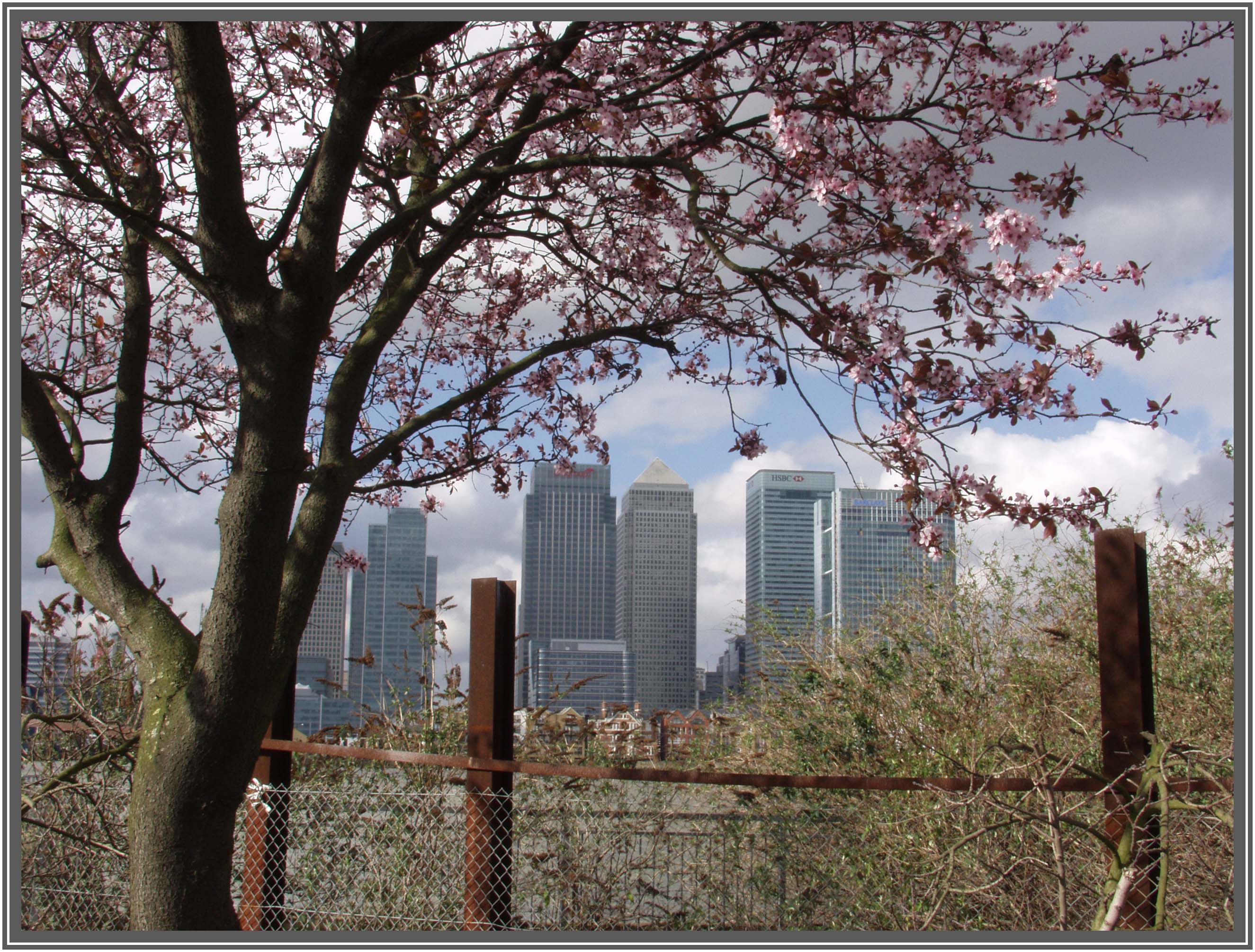 P2191790CanaryWharf.jpg