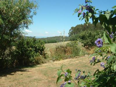 Garden and View