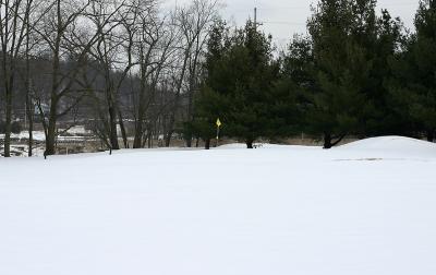 This Green is White