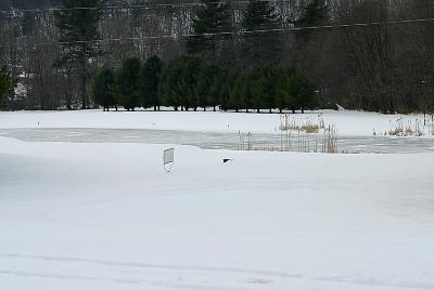 Frosen Pond on Golf Course