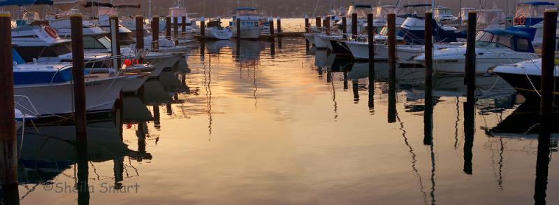 Yachts in berths at RMYC at sunset