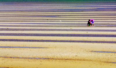 Two in sand.