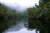 Gordon River reflection