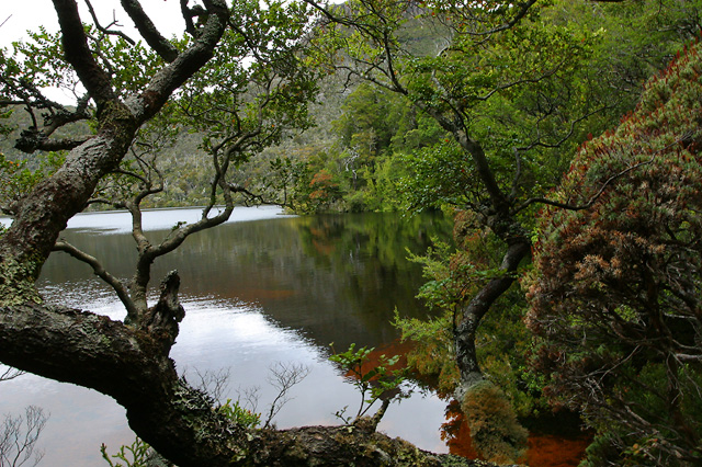 Dove Lake, Tasmania