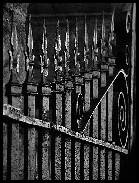 fence2.jpg