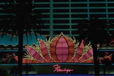The Flamingo on the Strip - Sigma 24-60 F2.8 EX