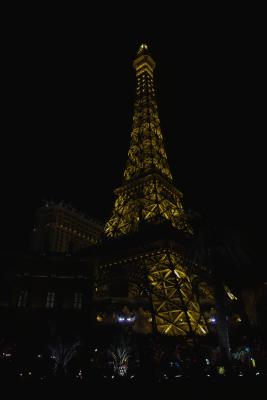 Eiffel Tower by night - Sigma 15-30 EX