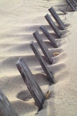 SANDFENCE
