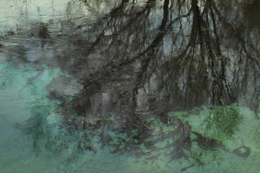 Water Western Nevada.jpg