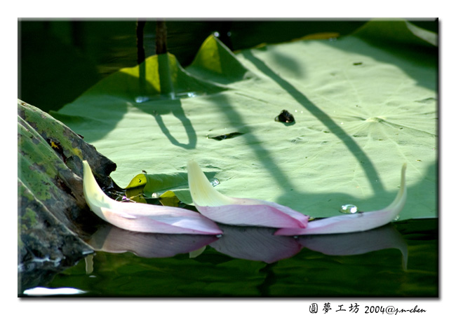 DSC_0310.jpg