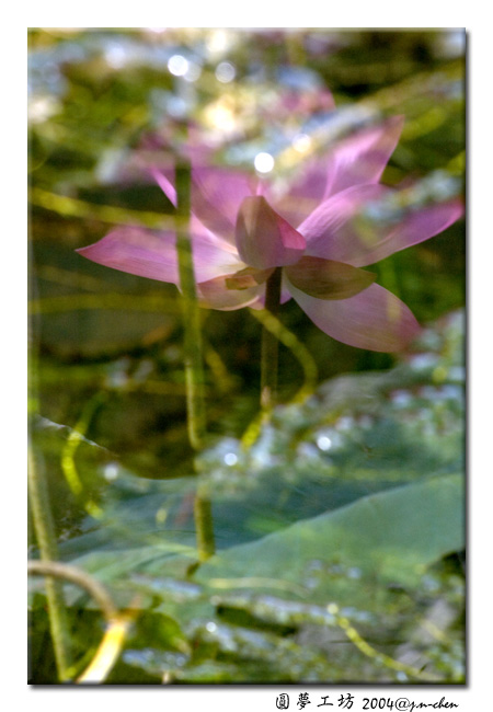 DSC_0330.jpg