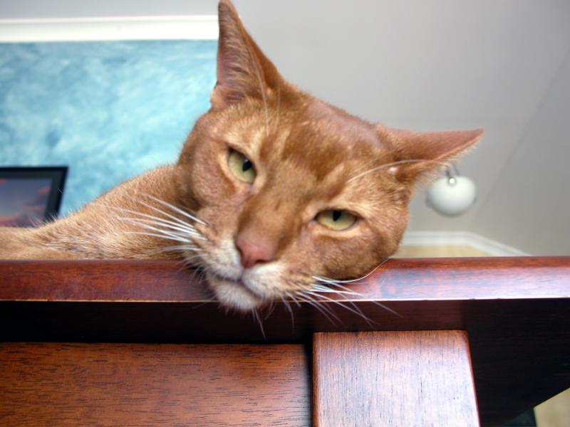 You photographing me?
