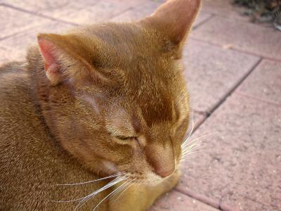 DSCN0186.JPG