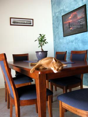 This is your table?