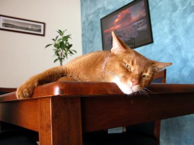 Life's hard