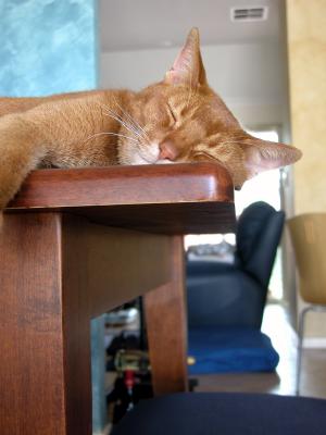 ZZZZZZZZZZZzzzzzzzzzzzzz