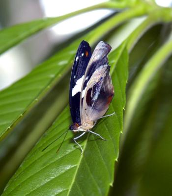 DSC0090.jpg
