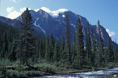 u40/sjseto/medium/32610465.CanadianRockies200420040723_03paradisevalley.jpg