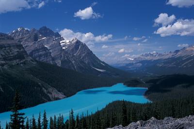 u40/sjseto/medium/32610487.CanadianRockies200420040725_07peytolake.jpg