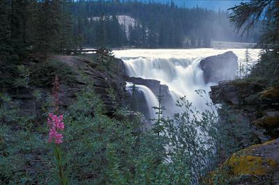 20040729_07athabascafalls1.jpg