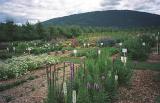 20040720_01salmonarmgarden.jpg