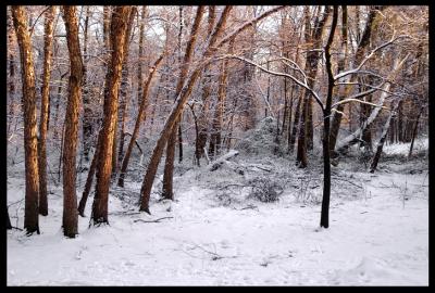Virginia Winter Scenes