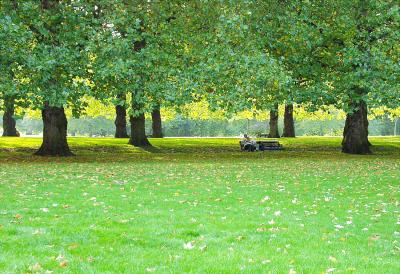 Couple in St. James Park