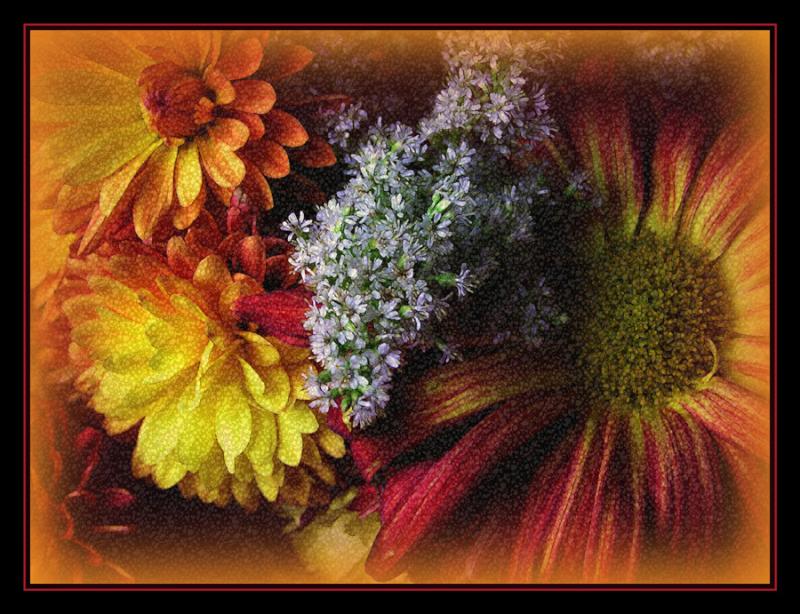 Flora
