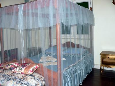 Old fashioned bedroom arranged with canopied bed