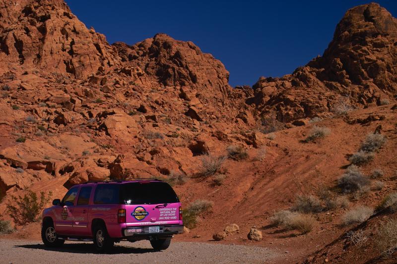 desert color