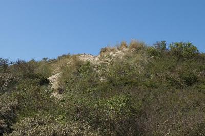 DSC_0503.jpg