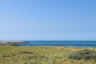 DSC_0551.jpg