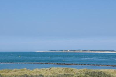 DSC_0555.jpg
