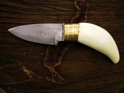 Knife w Orca tooth and Damascus blade.jpg