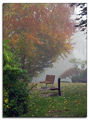 Park benches