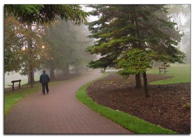 Morning walk