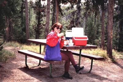 Yellowstone Picnic