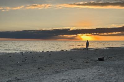 The Beach at Sanibel